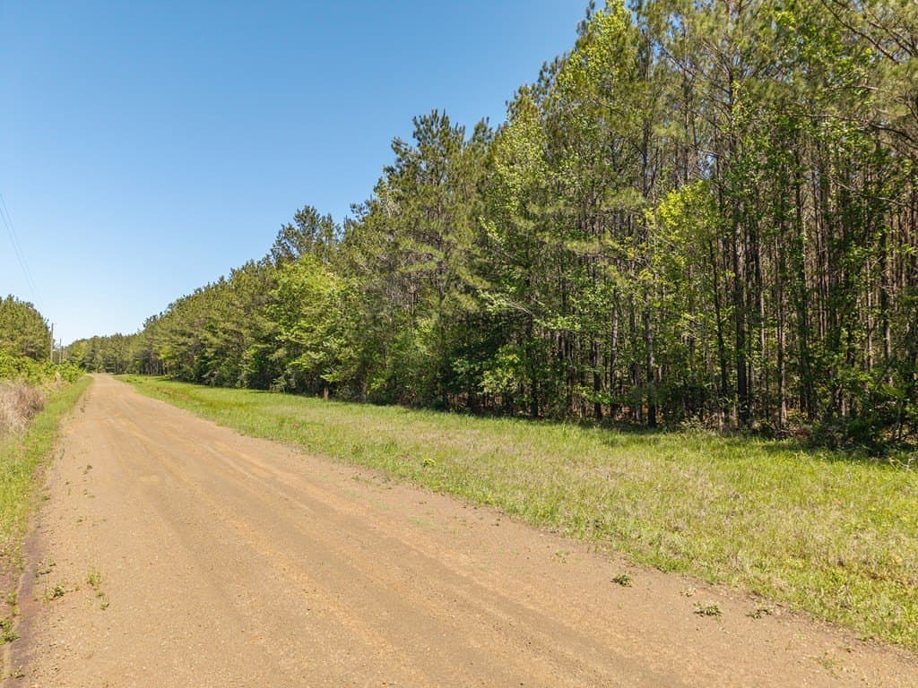 17 acres in Texas County - photo 6