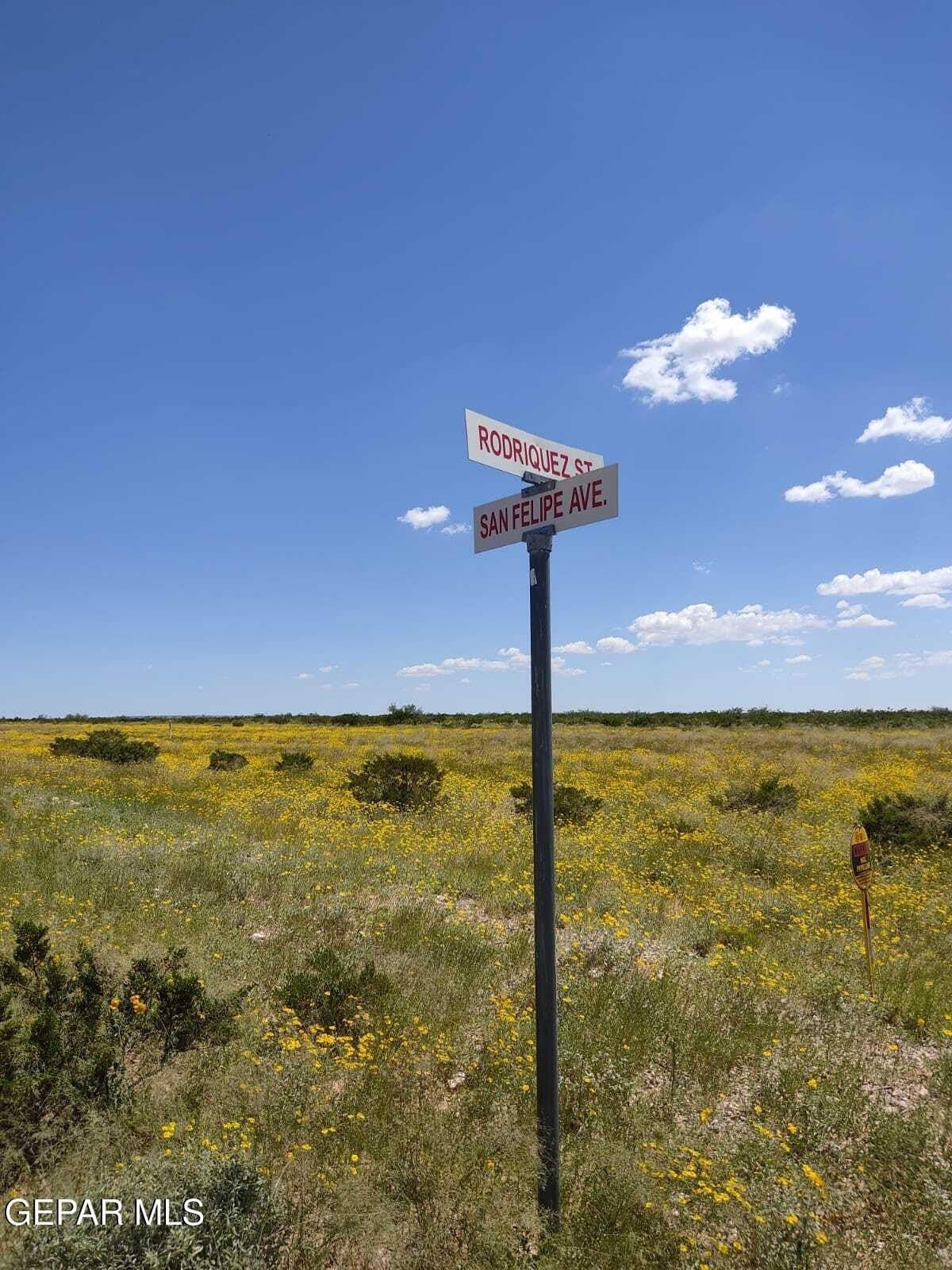 22.84 acres in Hudspeth County gallery image 3