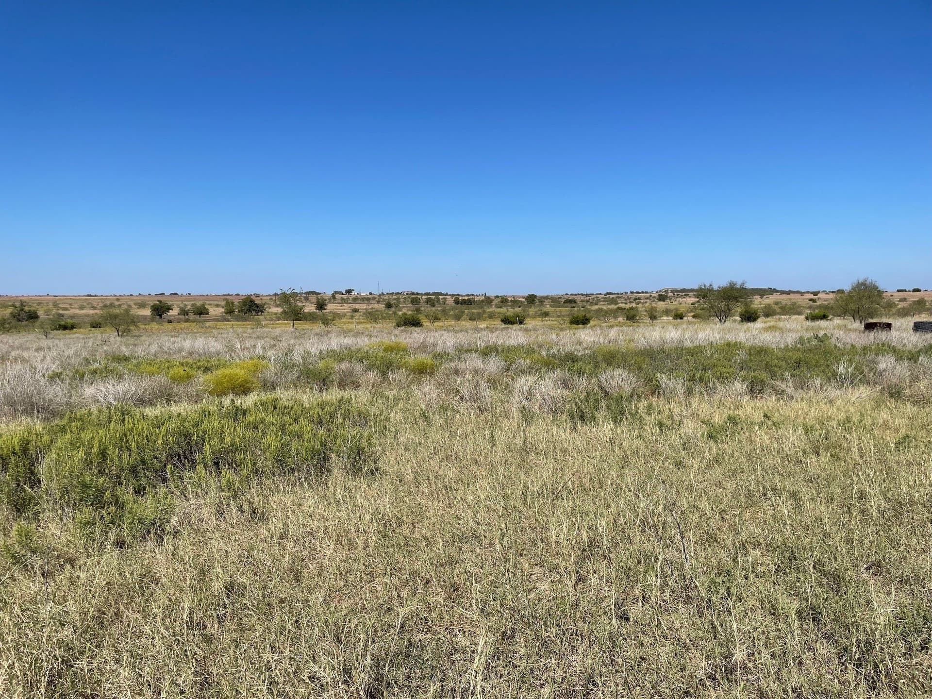 20 acres in Hamilton County gallery image 3