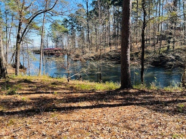 1.33 acres in Texas County gallery image 2