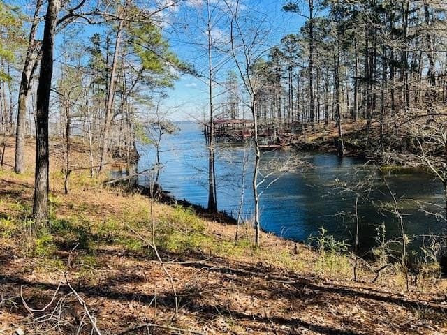 1.33 acres in Texas County