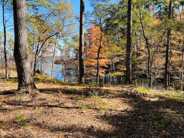 1.33 acres in Texas County gallery image 4
