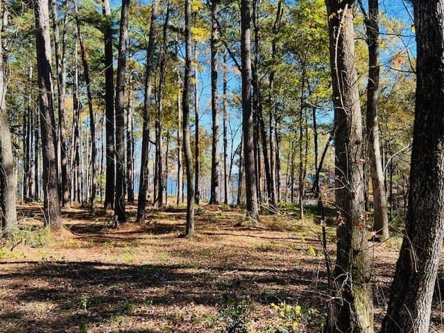 1.33 acres in Texas County featured view