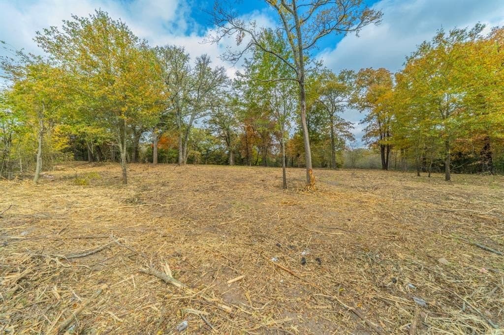 5.4 acres in Hunt County gallery image 4