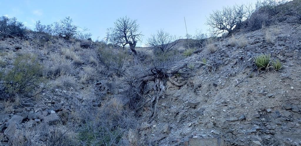 20 acres in Brewster County - photo 23