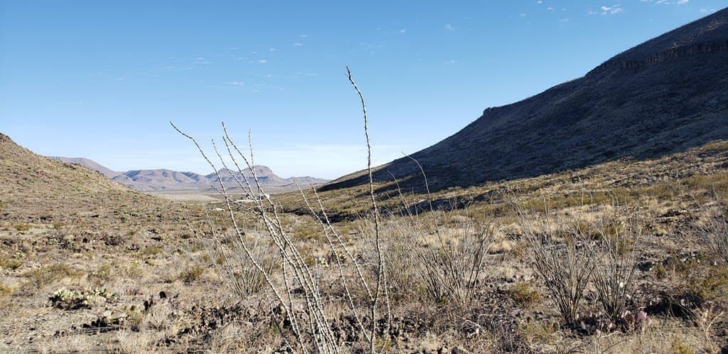 20 acres in Brewster County - photo 6