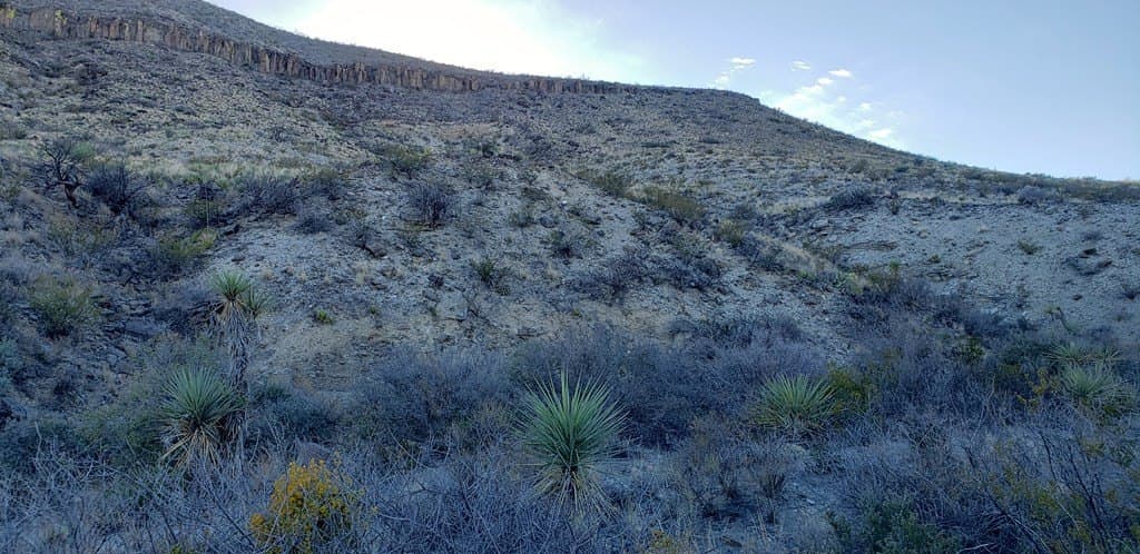 20 acres in Brewster County - photo 8