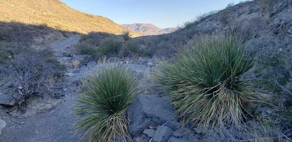20 acres in Brewster County - photo 19