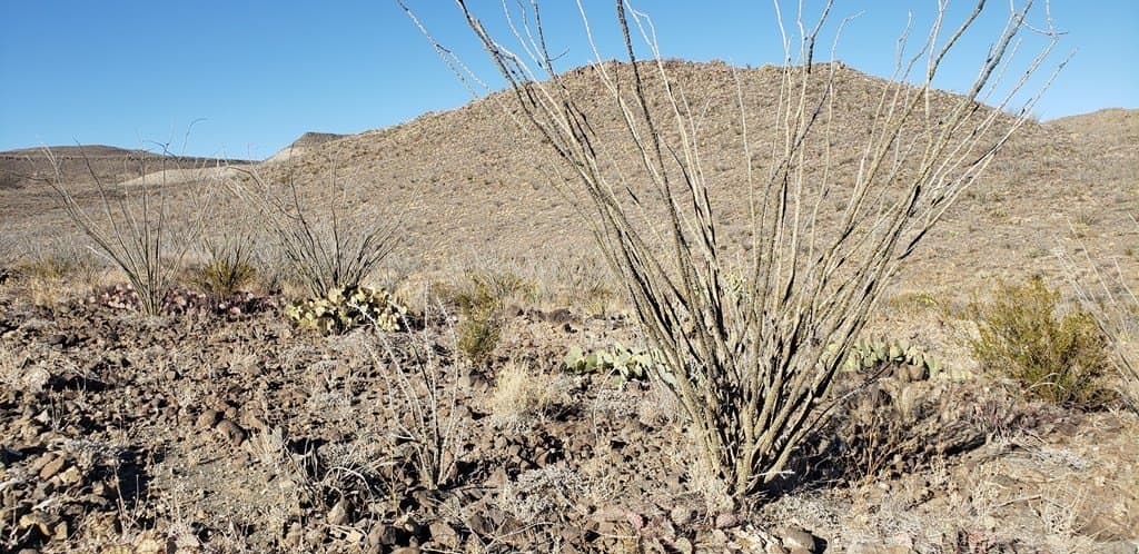20 acres in Brewster County - photo 49