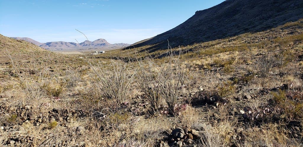 20 acres in Brewster County - photo 46