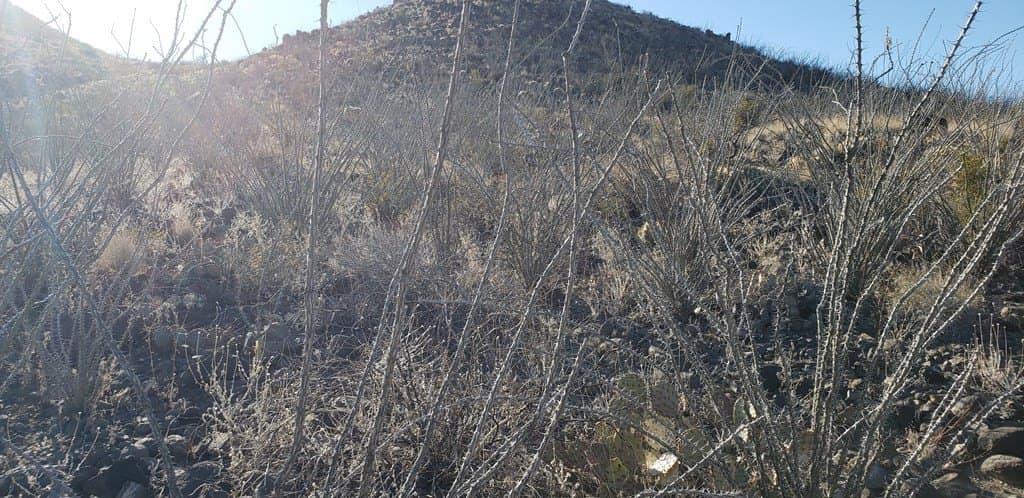 20 acres in Brewster County - photo 44