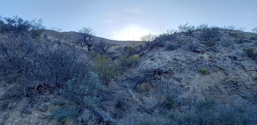 20 acres in Brewster County - photo 20
