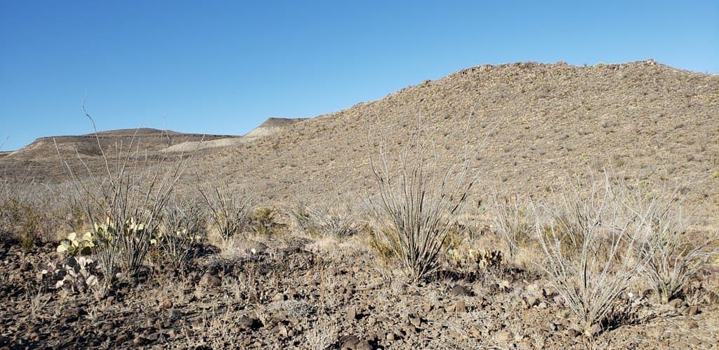20 acres in Brewster County - photo 41