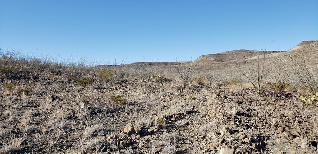 20 acres in Brewster County - photo 50