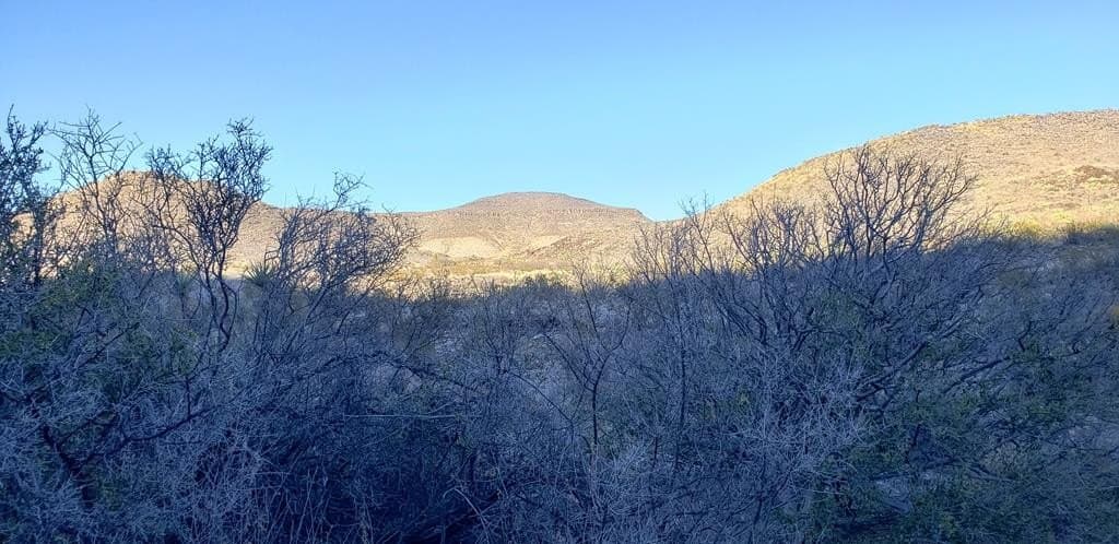 20 acres in Brewster County - photo 21