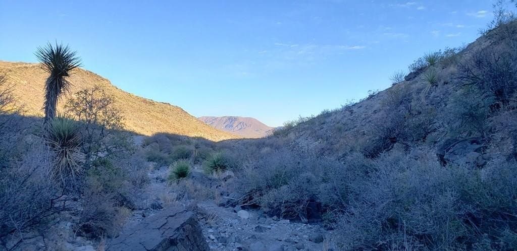 20 acres in Brewster County - photo 4