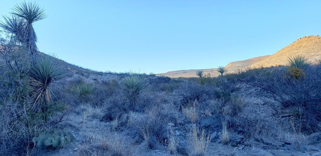 20 acres in Brewster County - photo 18