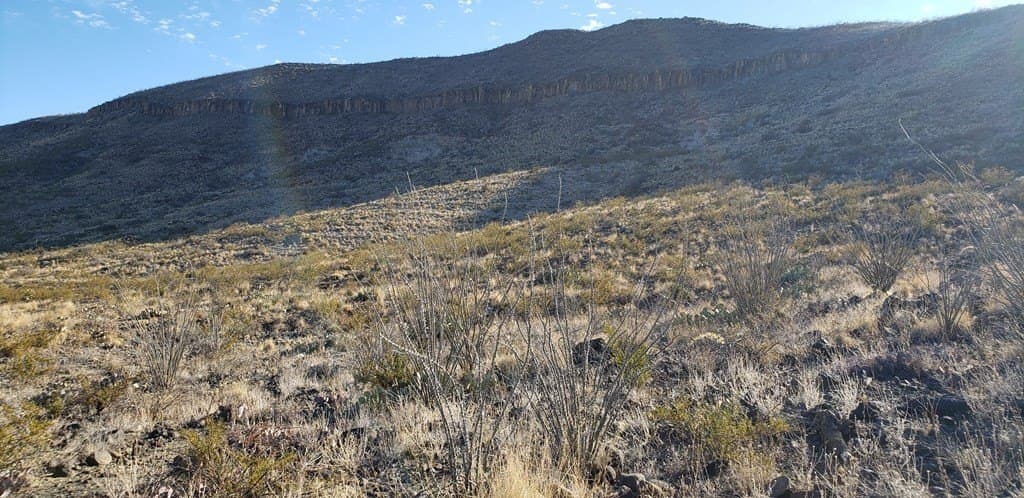 20 acres in Brewster County - photo 45