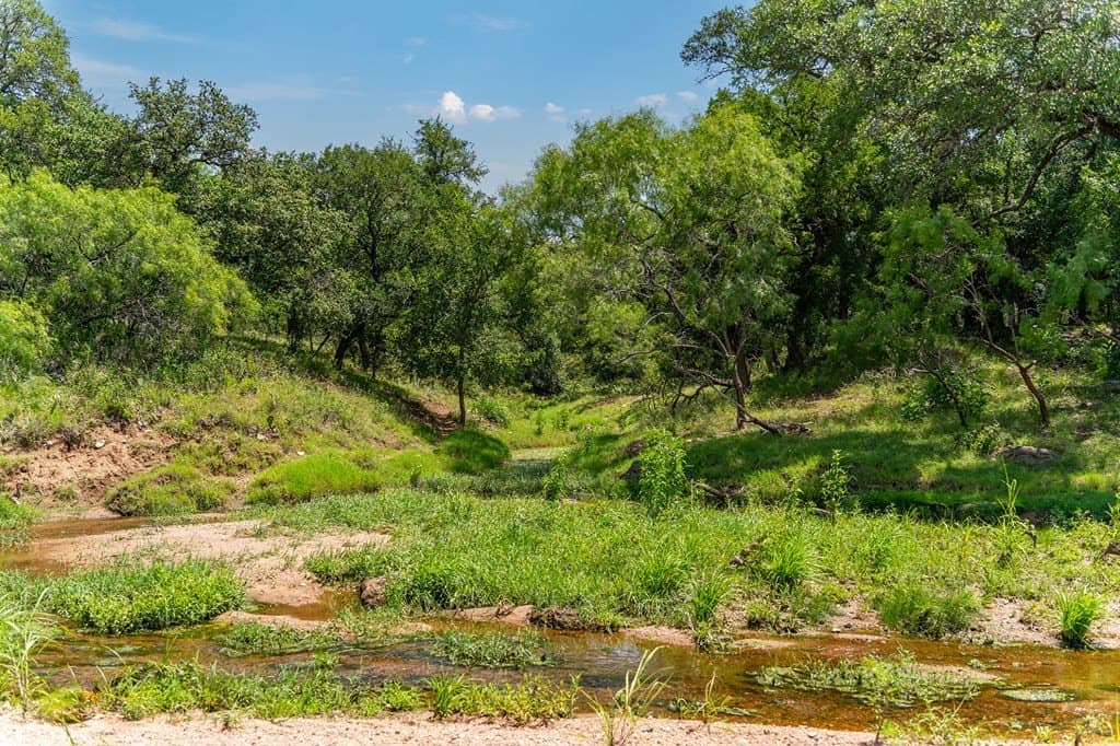 189.63 acres in Mason County gallery image 3