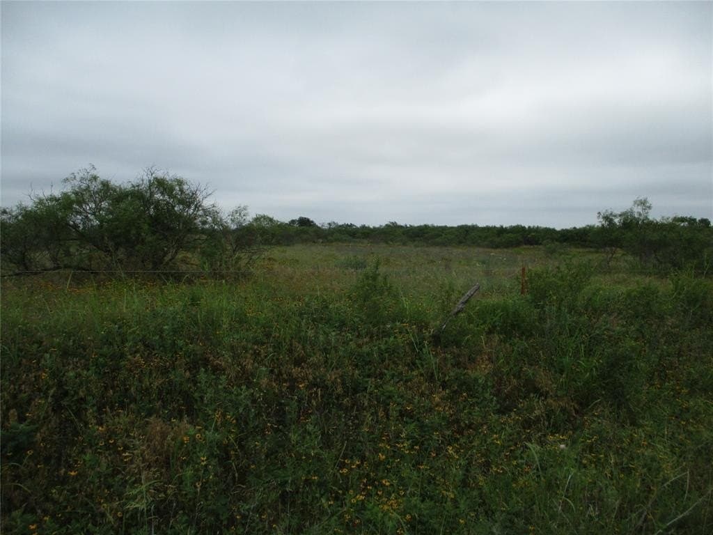 13.64 acres in Clay County featured view