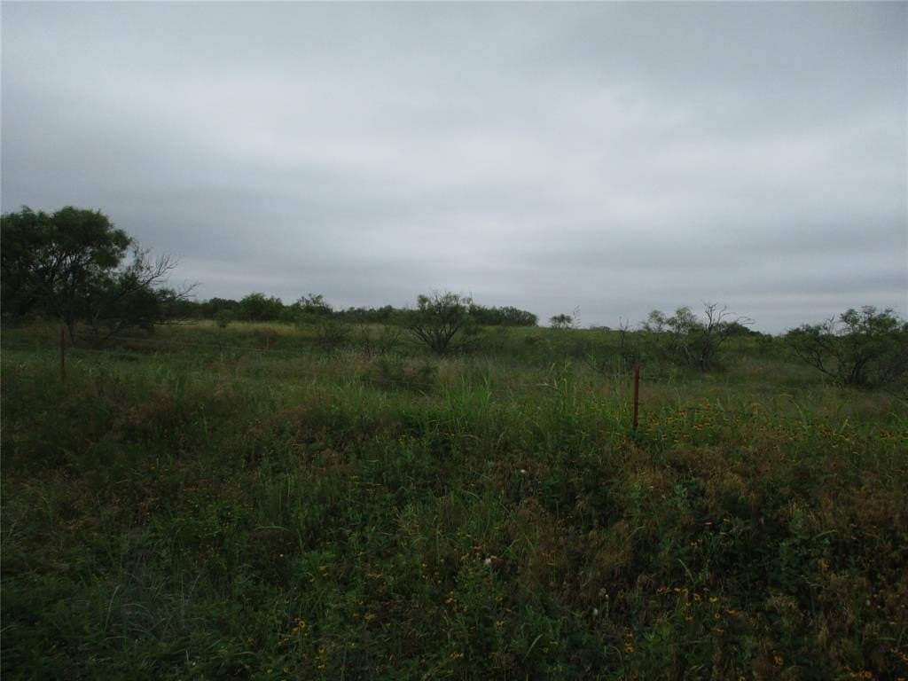 13.64 acres in Clay County gallery image 4