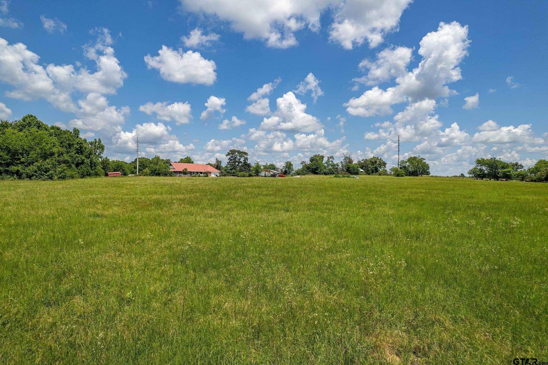 20 acres in Wood County - photo 3