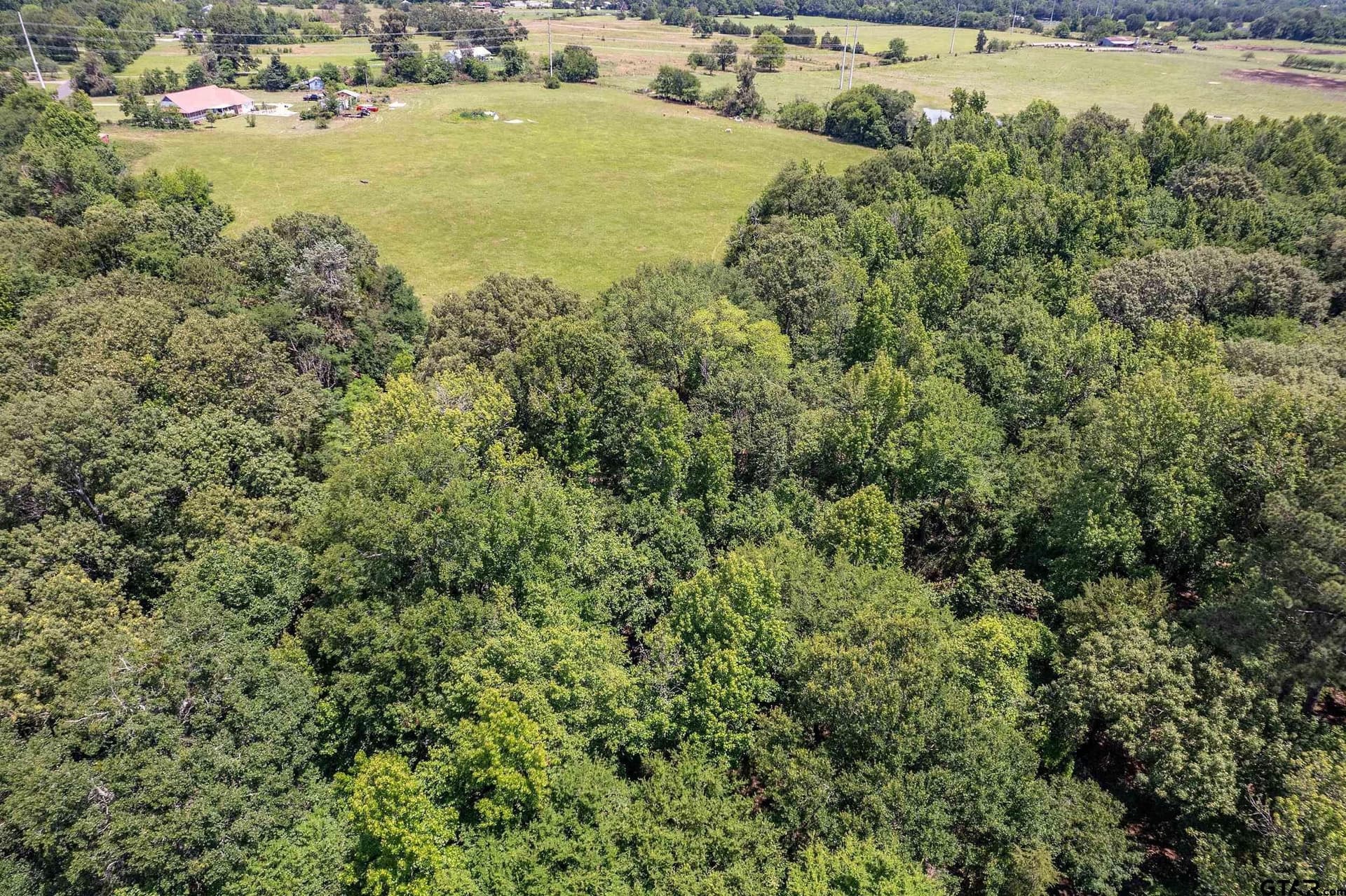 20 acres in Wood County - photo 41