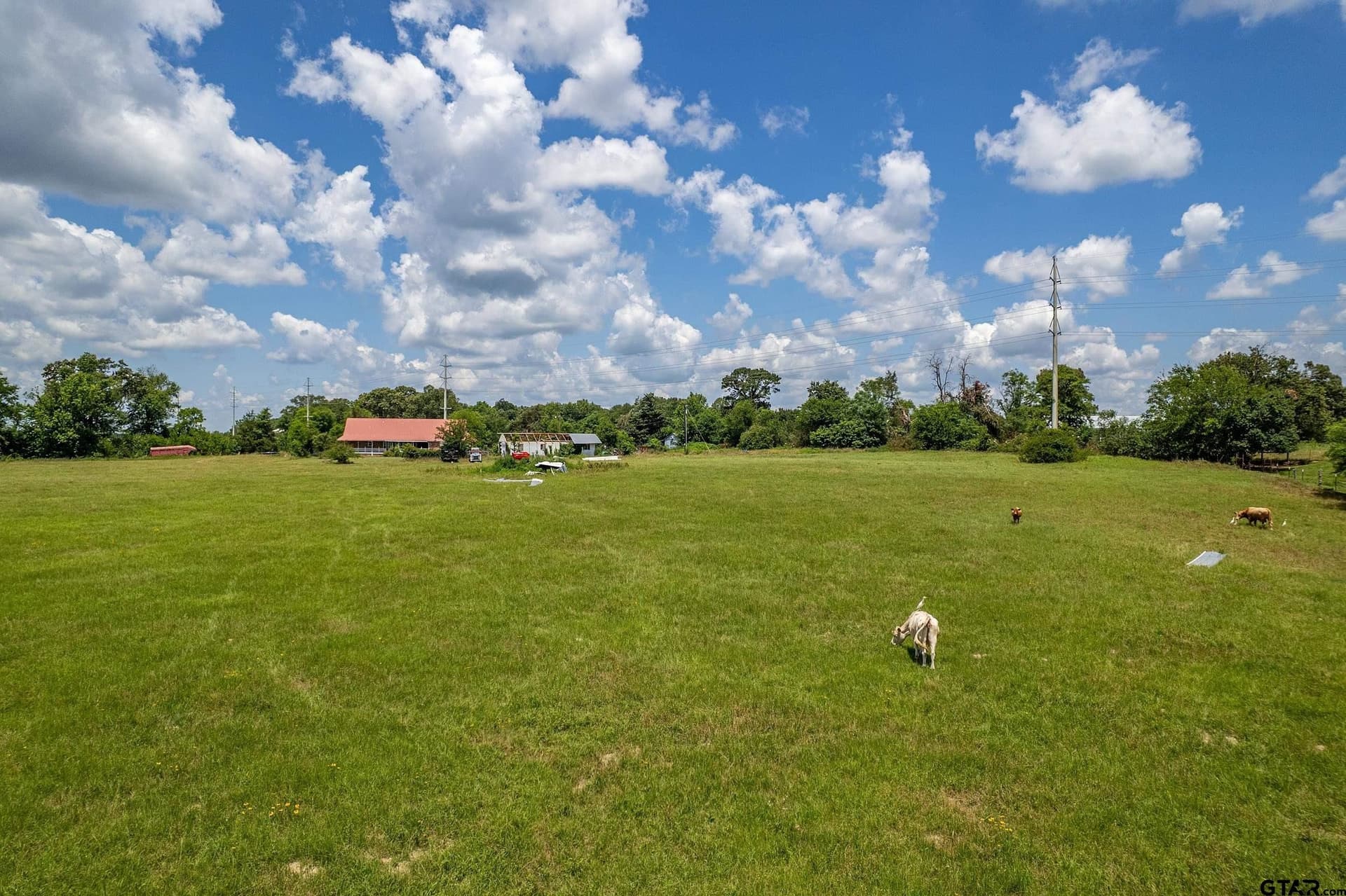 20 acres in Wood County - photo 36