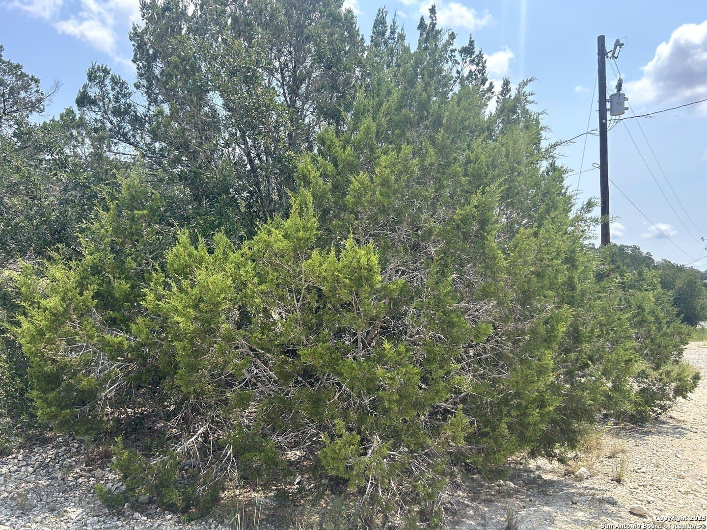 0.28 acres in Blanco County gallery image 3