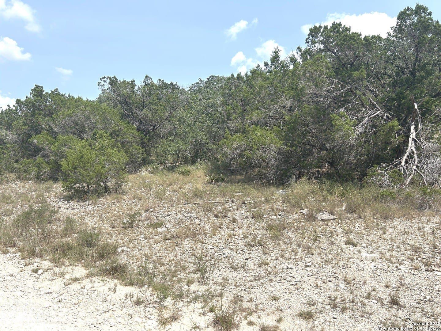 0.28 acres in Blanco County gallery image 2