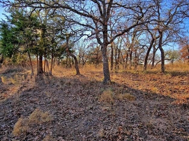 0.28 acres in Montague County gallery image 2