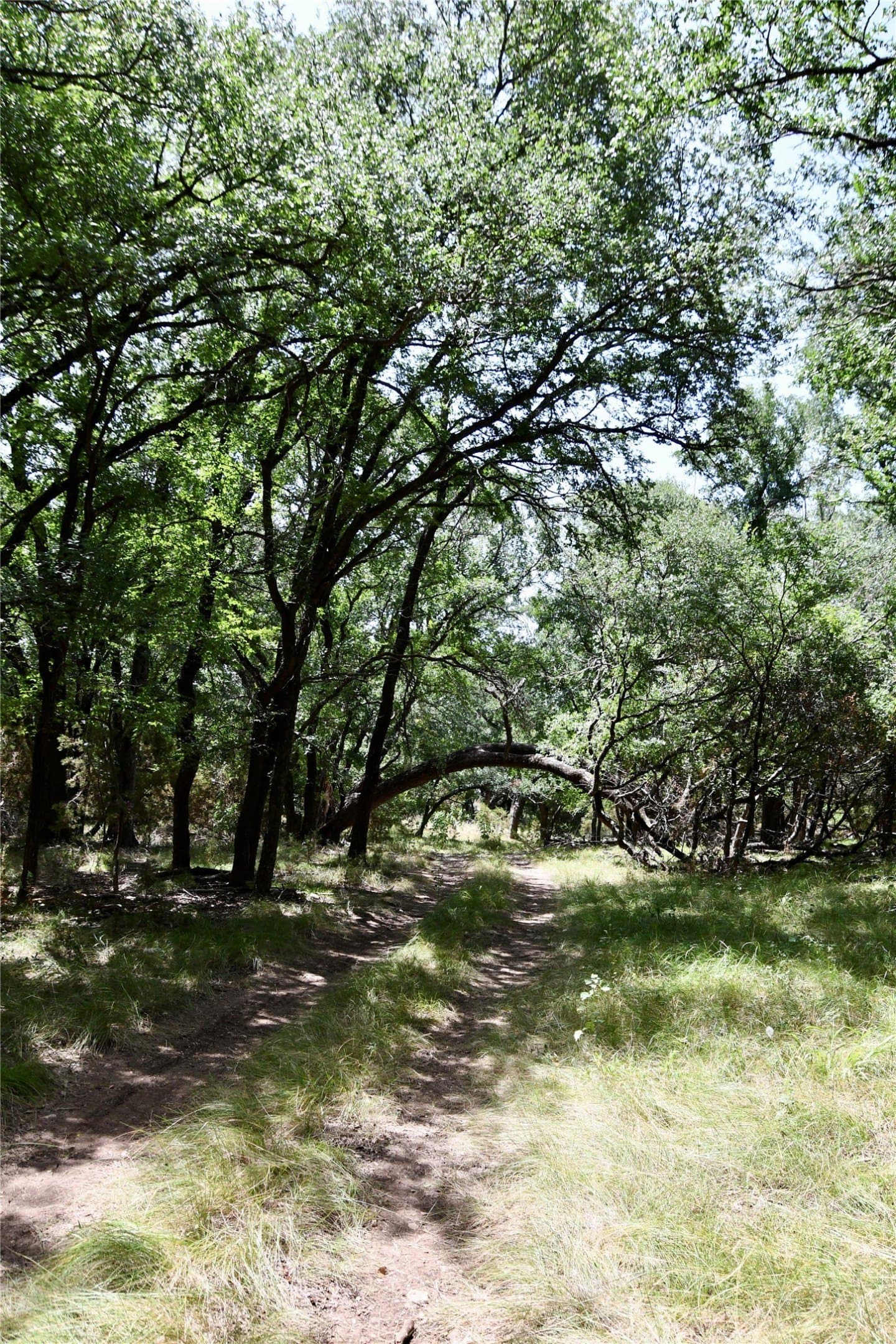 55 acres in Lampasas County - photo 35