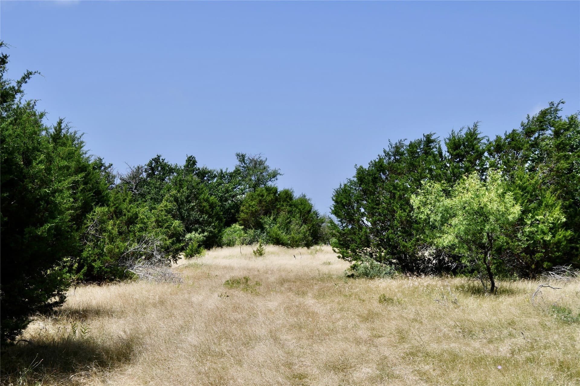 55 acres in Lampasas County - photo 7