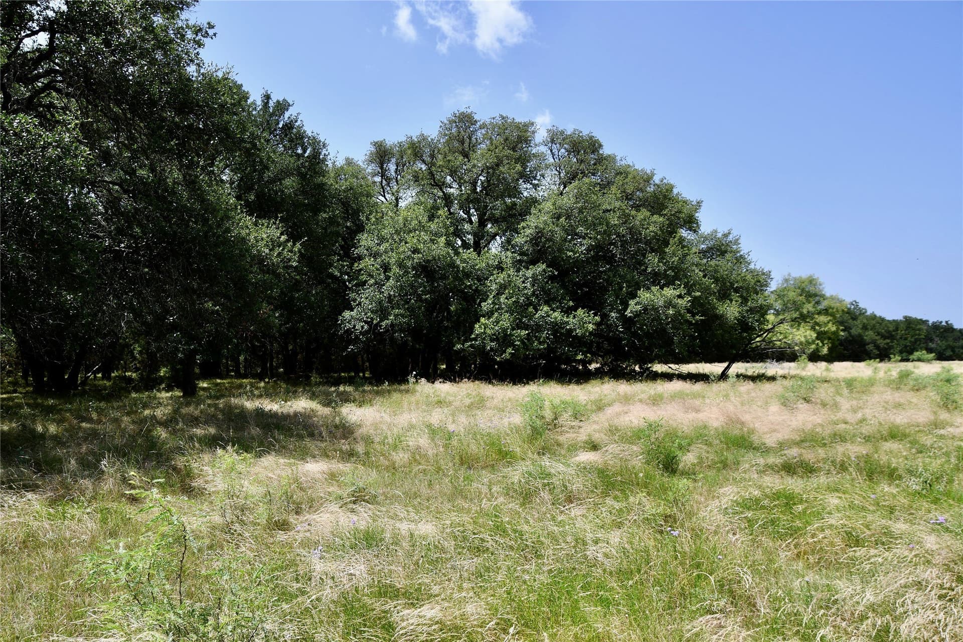 55 acres in Lampasas County - photo 29