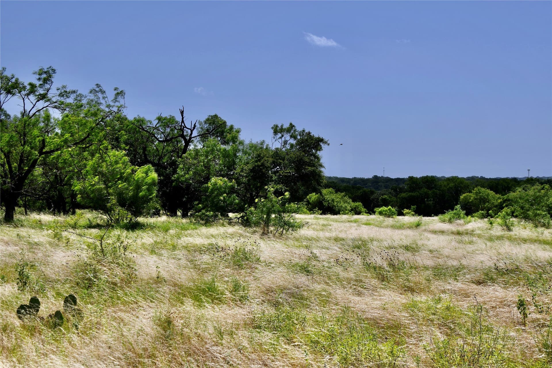 55 acres in Lampasas County - photo 21
