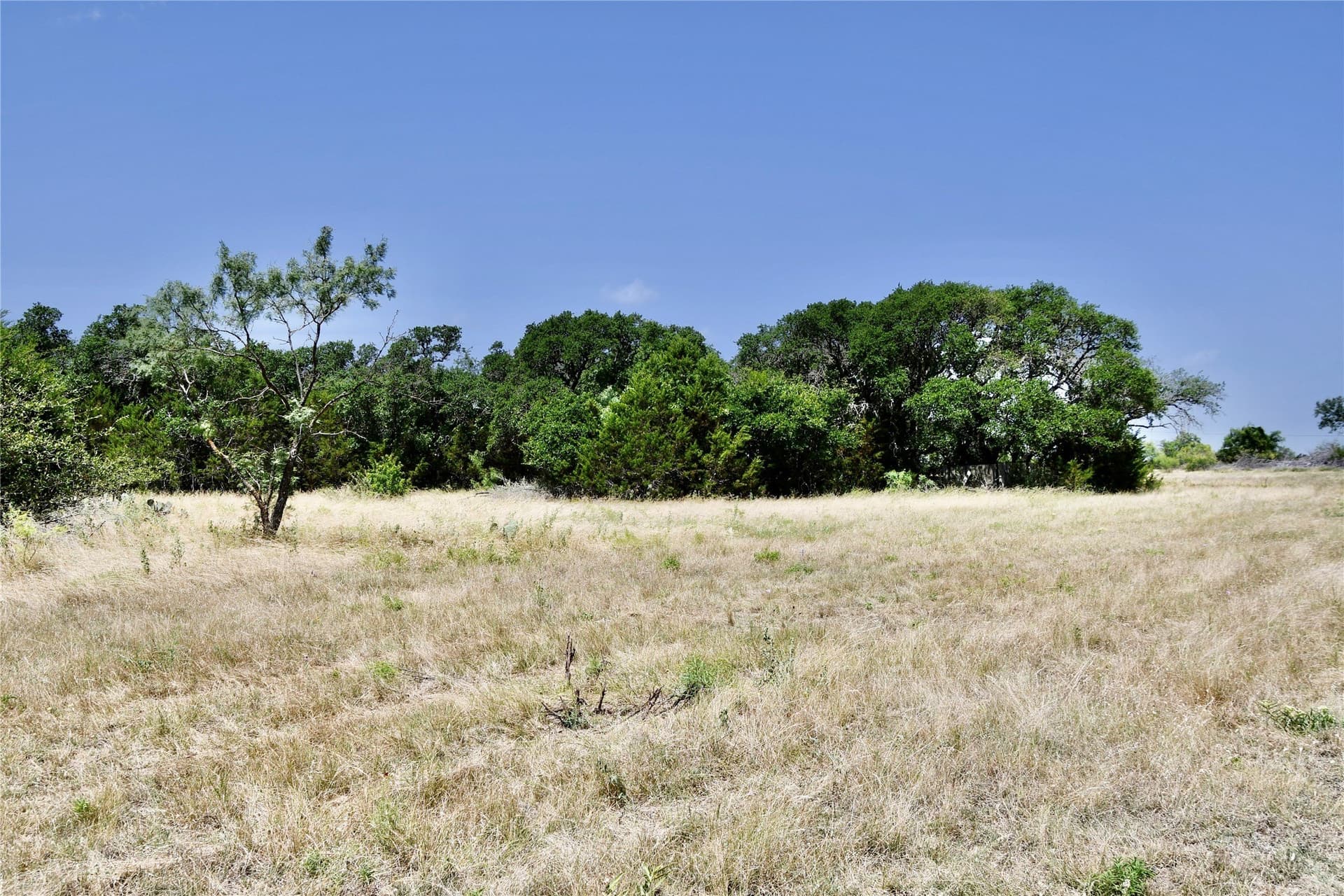 55 acres in Lampasas County - photo 8