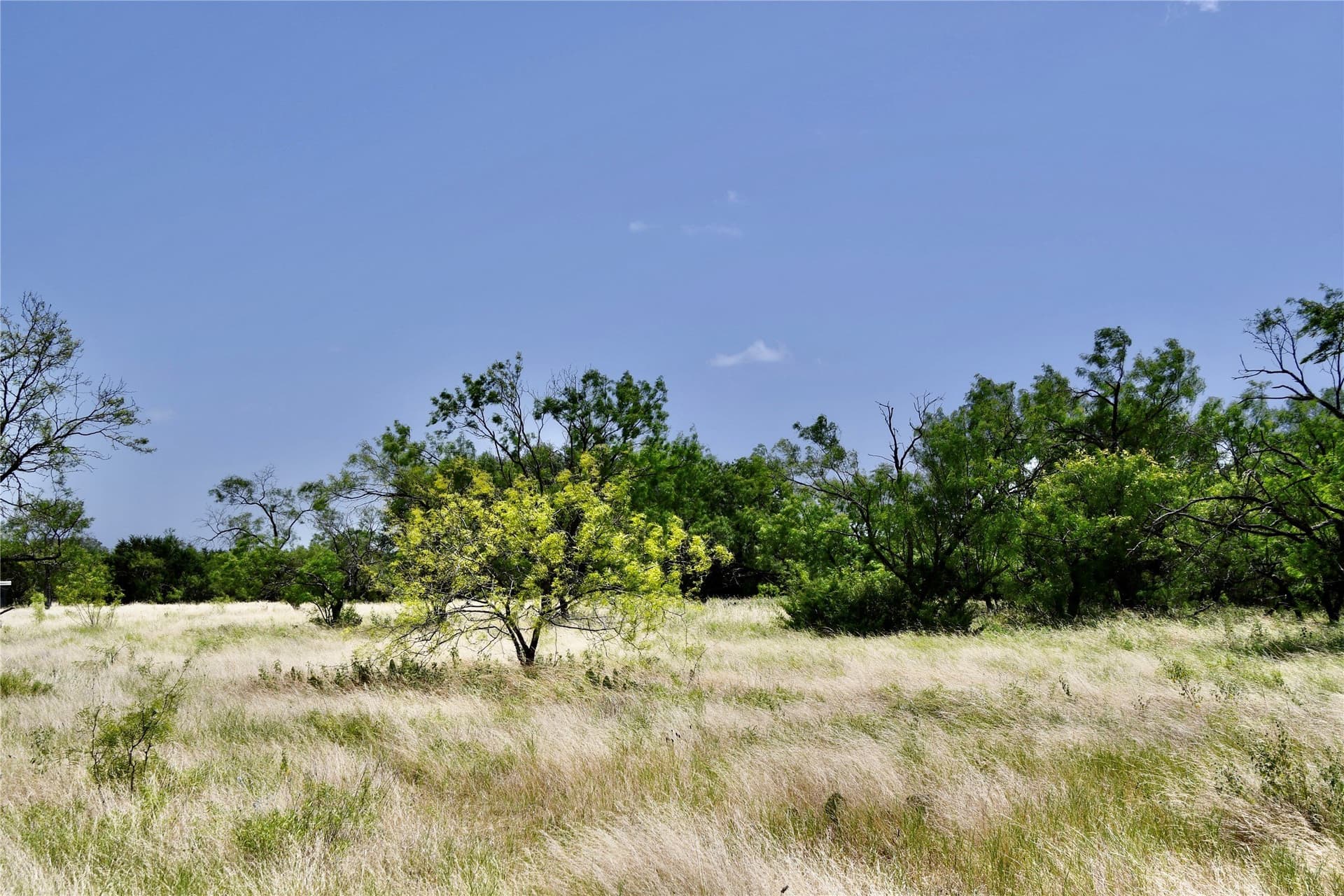 55 acres in Lampasas County - photo 22