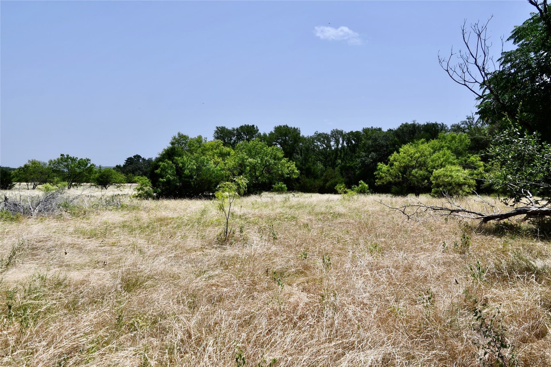55 acres in Lampasas County - photo 30