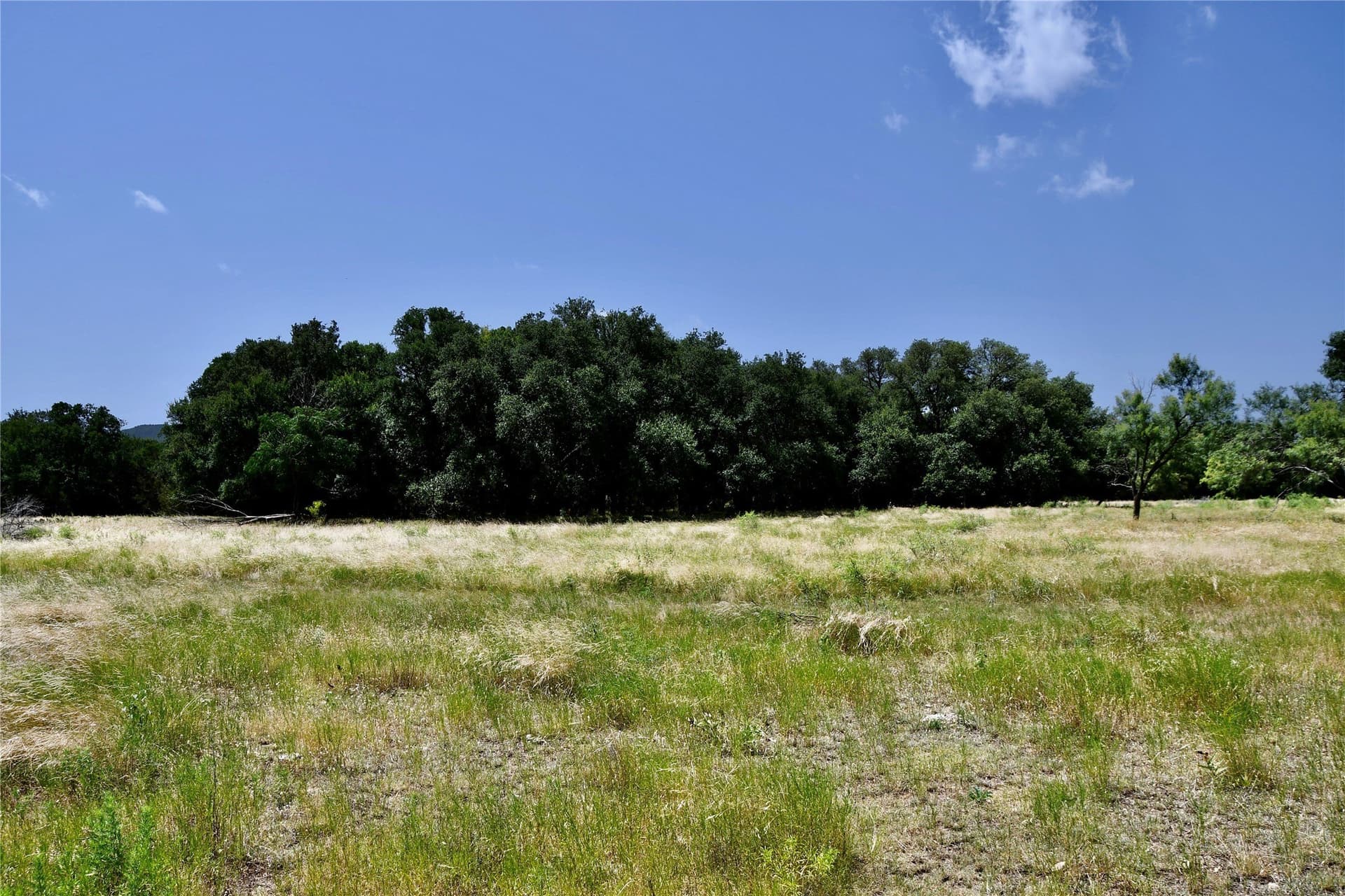 55 acres in Lampasas County - photo 28