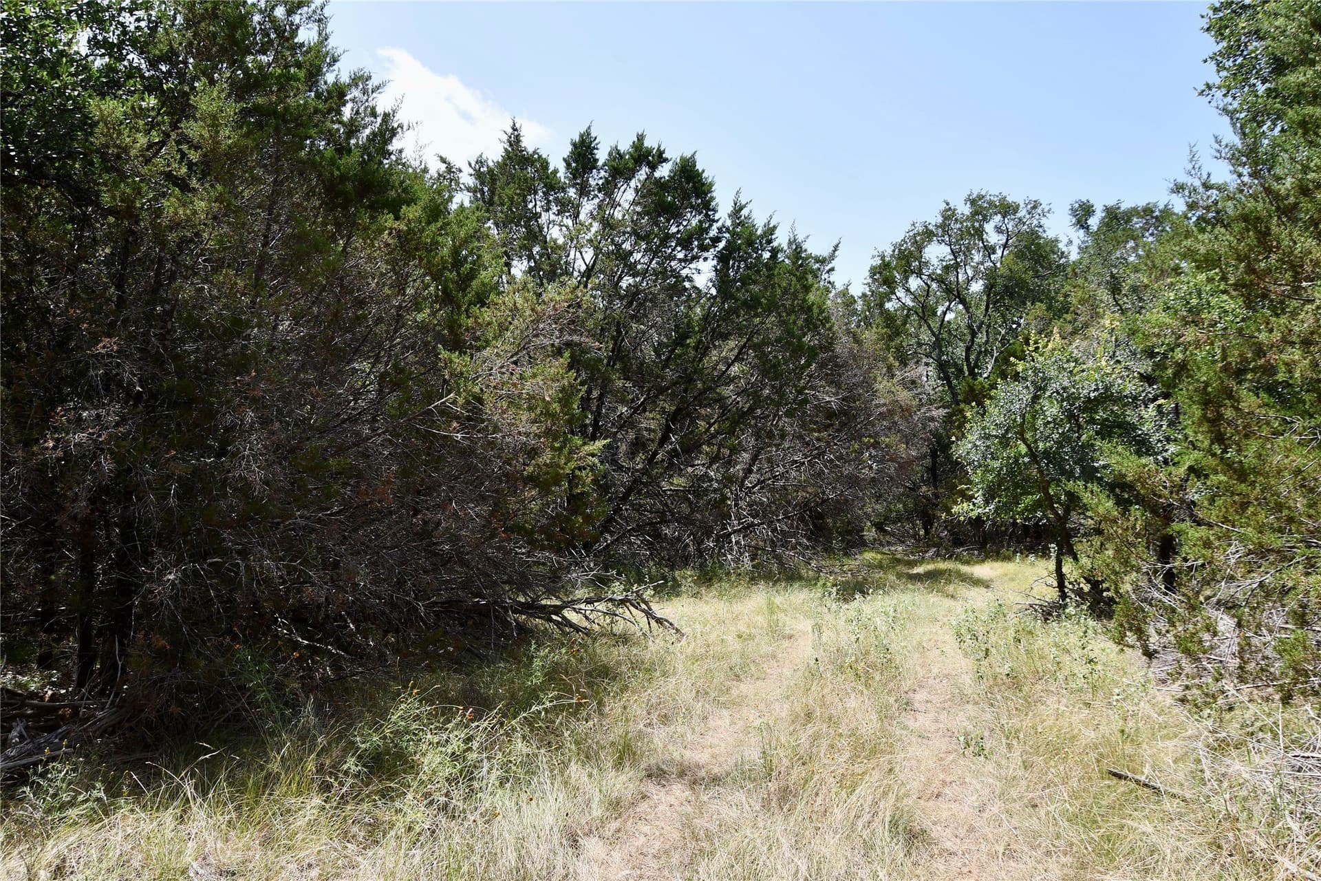 55 acres in Lampasas County - photo 9