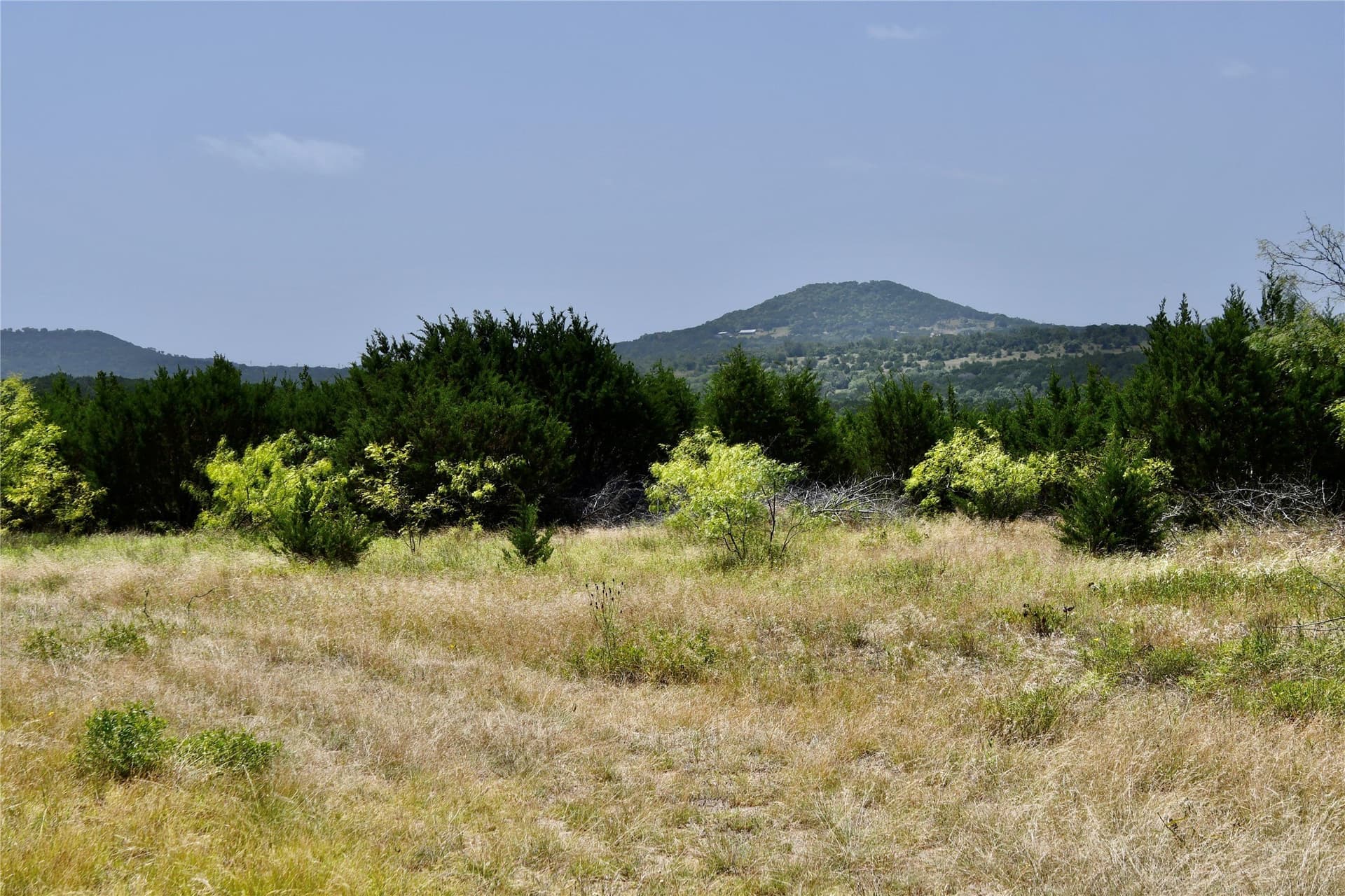 55 acres in Lampasas County