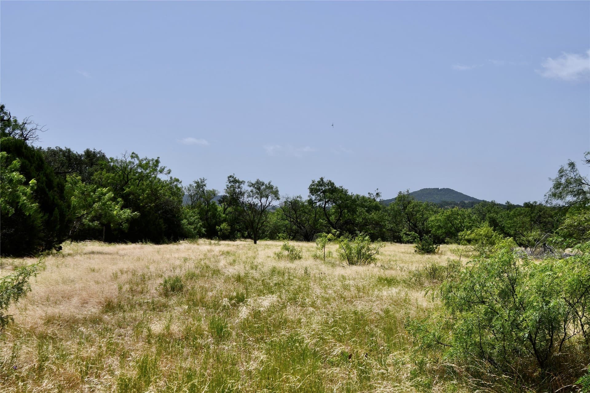 55 acres in Lampasas County - photo 23