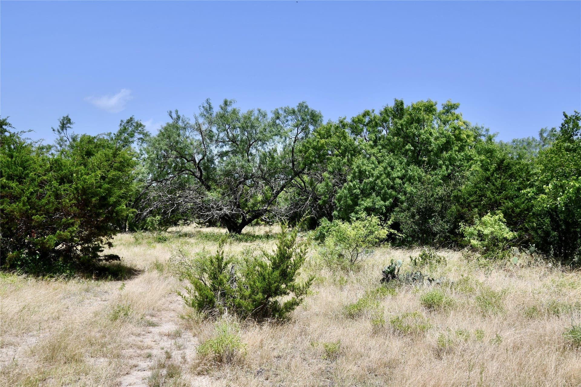 55 acres in Lampasas County - photo 18
