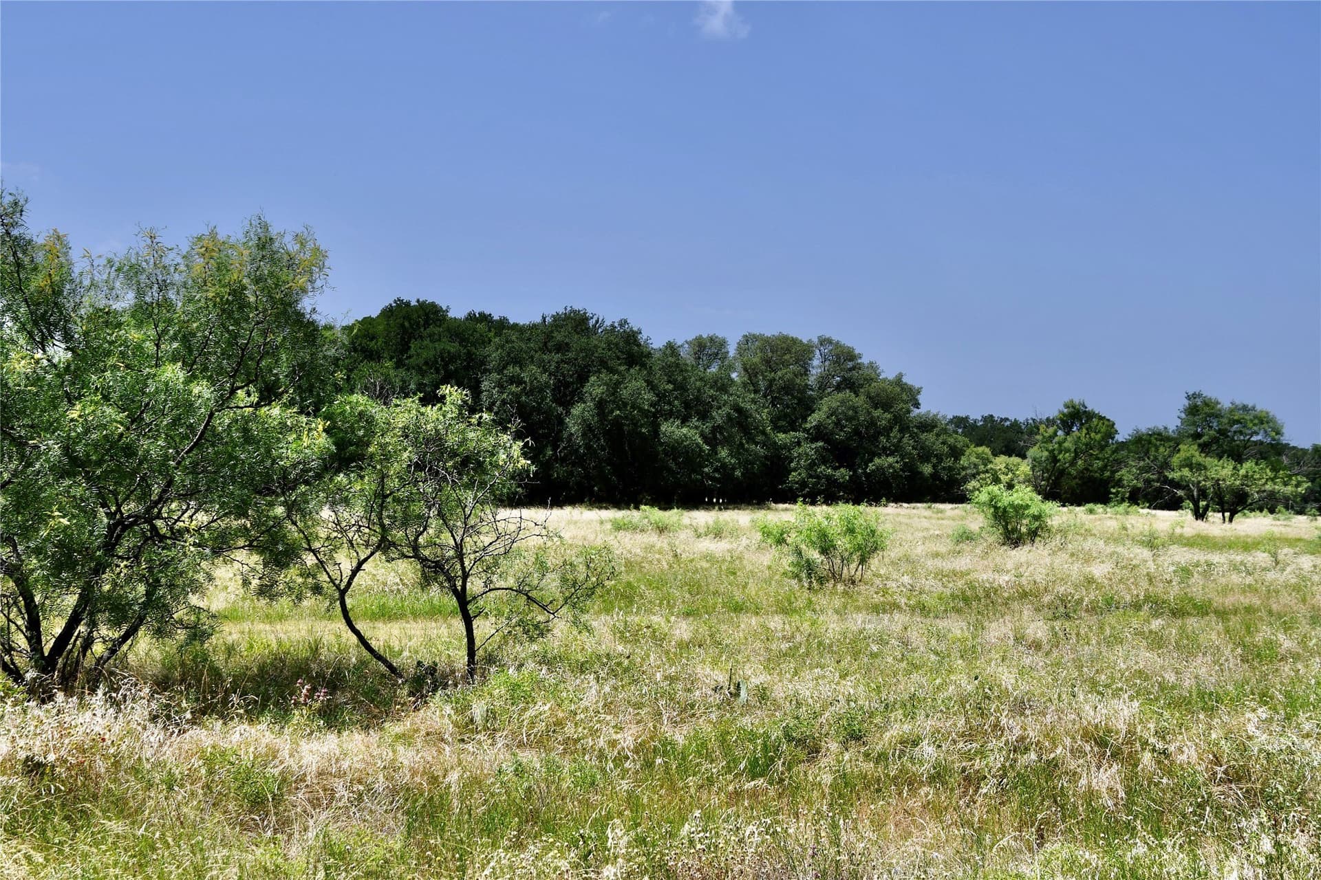 55 acres in Lampasas County - photo 27