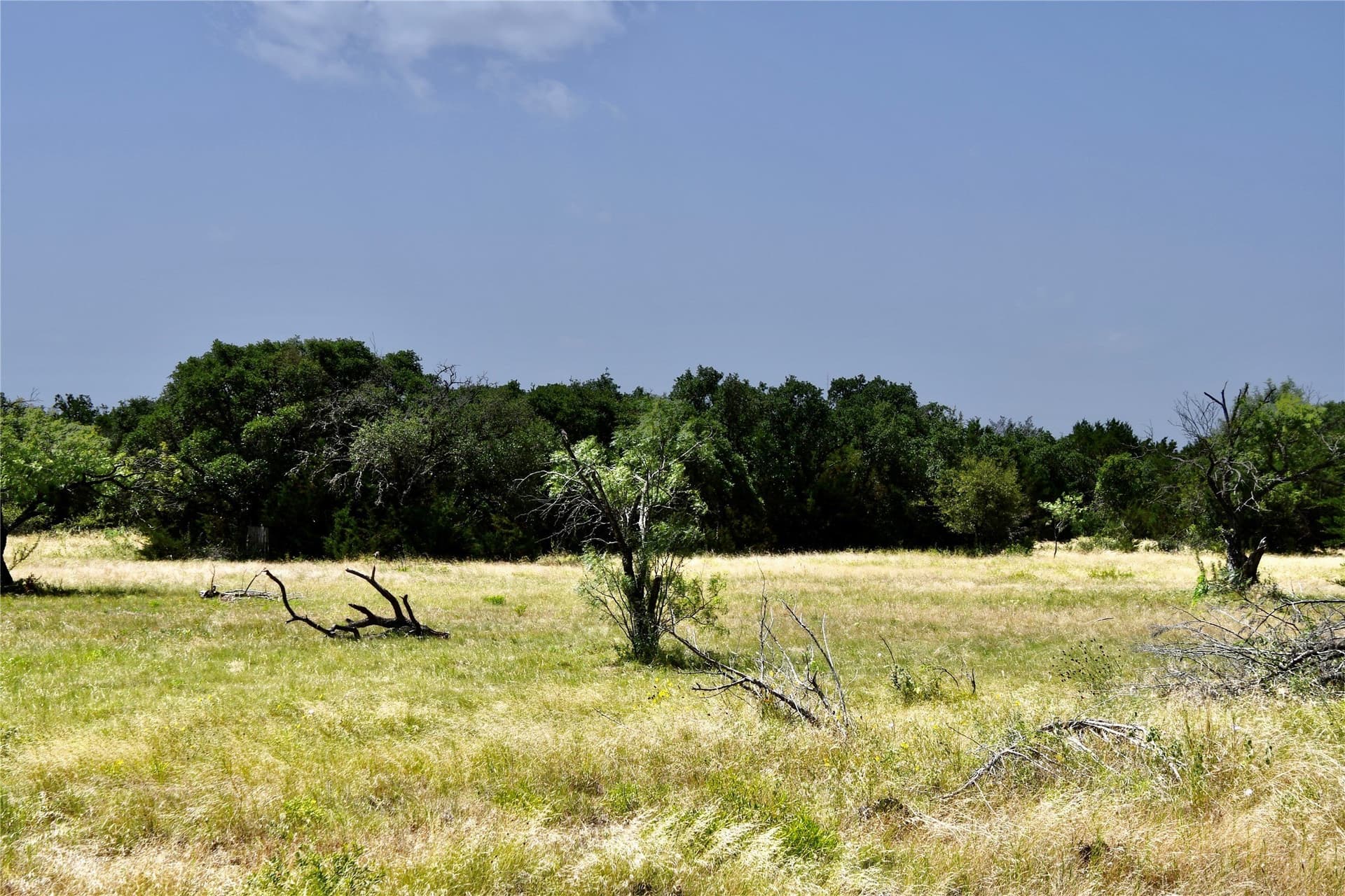 55 acres in Lampasas County - photo 4