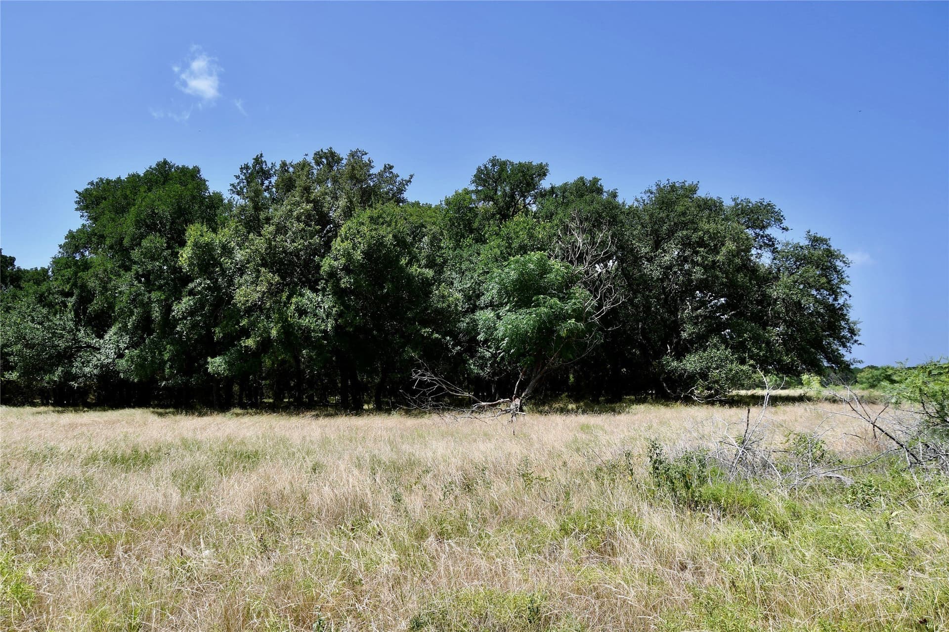 55 acres in Lampasas County - photo 31