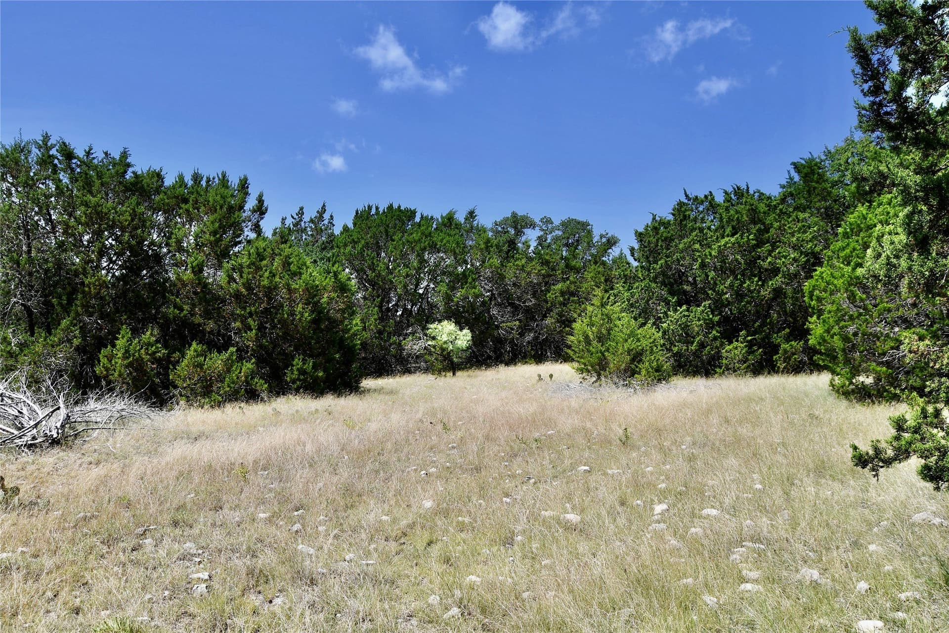 55 acres in Lampasas County - photo 10