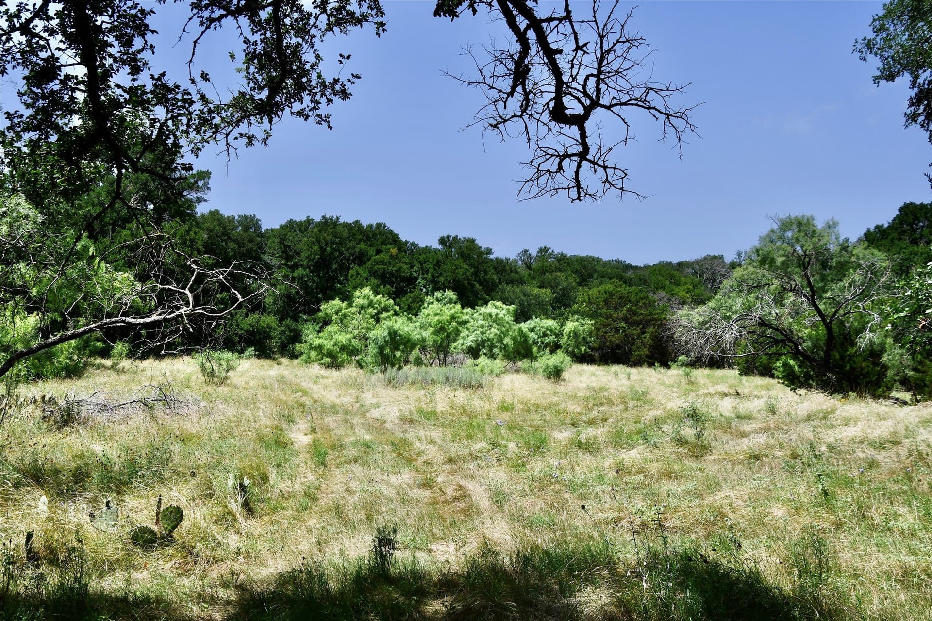 55 acres in Lampasas County - photo 36