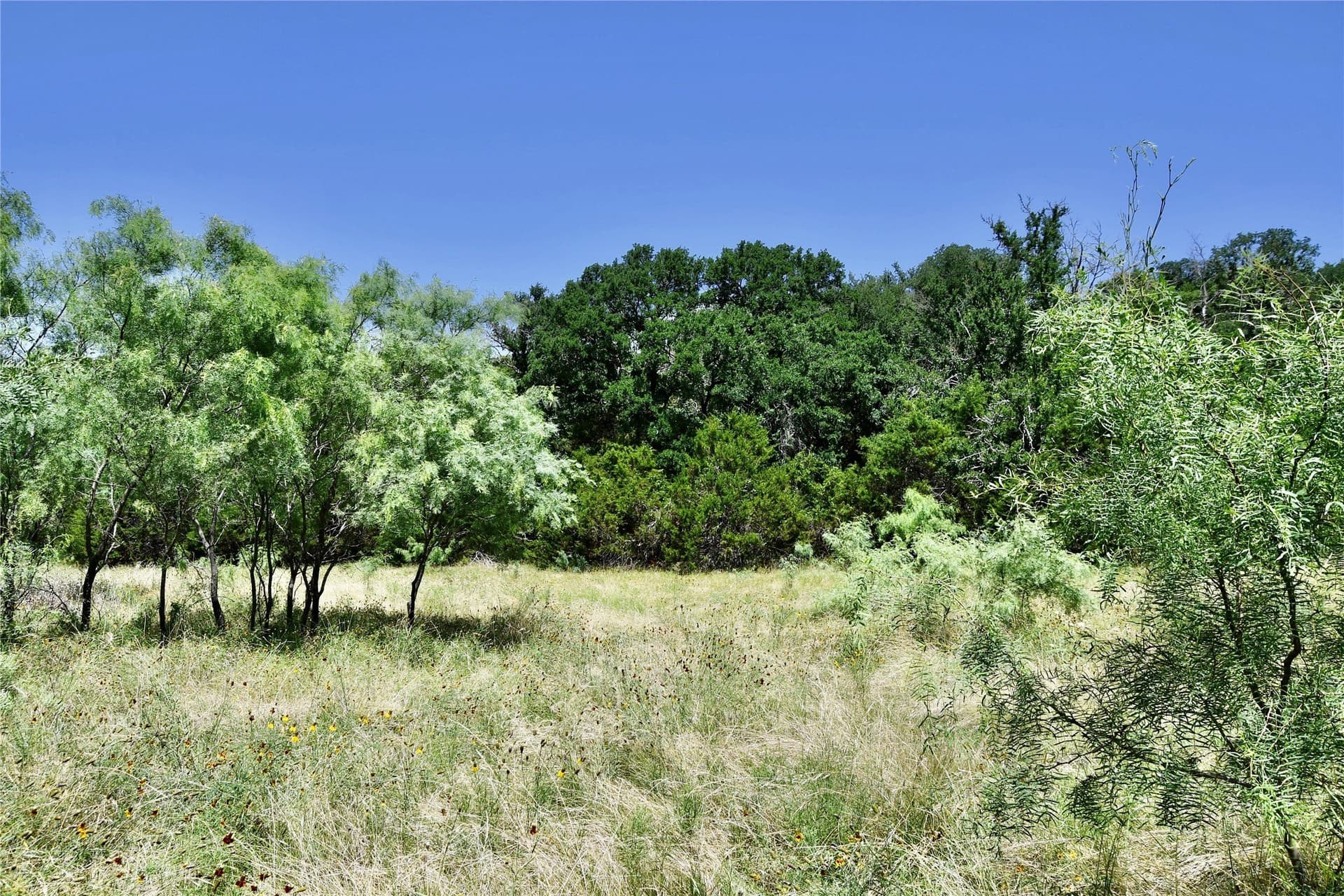 55 acres in Lampasas County - photo 38