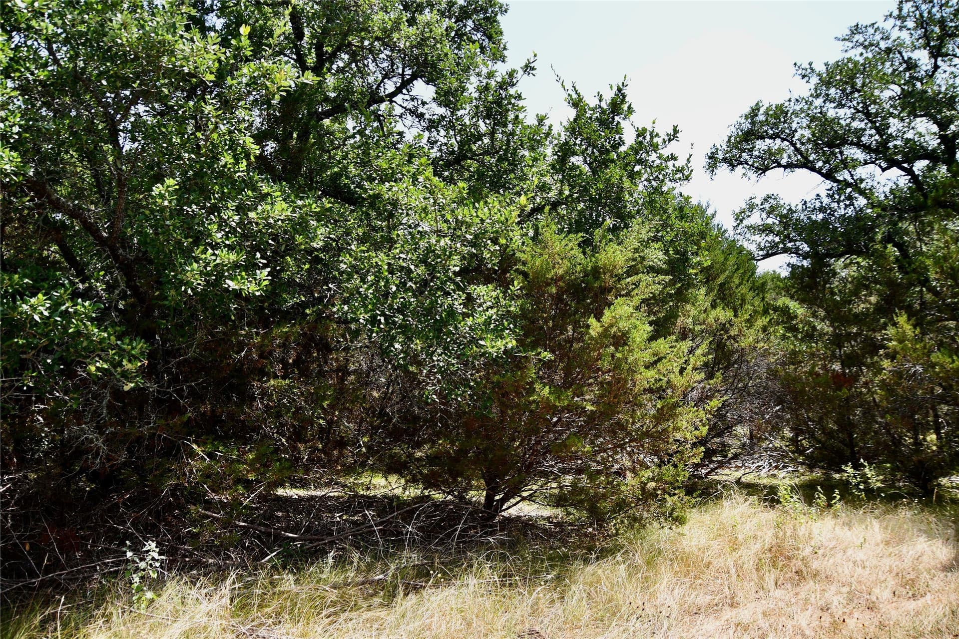 55 acres in Lampasas County - photo 3